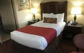 Туры в отель Best Western Plus North Miami/Bal Harbour