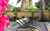 Туры в отель Best Western Plus North Miami/Bal Harbour