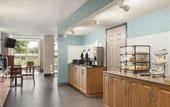 Туры в отель The Palms Inn & Suites