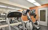 Туры в отель The Palms Inn & Suites