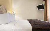 Туры в отель The Palms Inn & Suites
