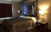 Туры в отель Super 8 by Wyndham Chicago O'Hare Airport