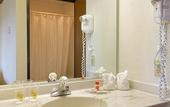 Туры в отель Super 8 by Wyndham Chicago O'Hare Airport