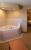 Туры в отель Holiday Inn Express & Suites Chicago West-Roselle by IHG