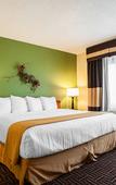 Туры в отель Quality Inn Bolingbrook I-55