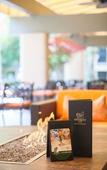 Туры в отель Palm Garden Hotel
