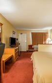 Туры в отель Quality Inn & Suites Mt Dora North