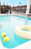 Туры в отель Vivo Hotel