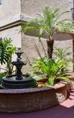 Туры в отель Laguna Inn & Suites