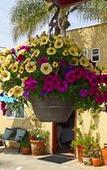 Туры в отель Leucadia Beach Inn