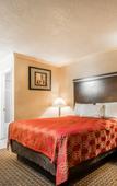 Туры в отель Rodeway Inn Lemon Grove San Diego East