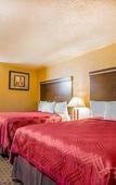 Туры в отель Rodeway Inn Lemon Grove San Diego East