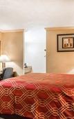 Туры в отель Rodeway Inn Lemon Grove San Diego East