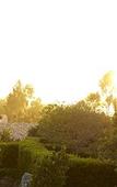 Туры в отель Rancho Valencia Resort and Spa