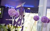 Туры в отель Novotel Milano Nord Ca Granda