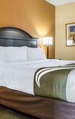 Туры в отель DASKK Orlando Hotel near Universal Blvd, an Ascend Collection Hotel