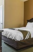 Туры в отель DASKK Orlando Hotel near Universal Blvd, an Ascend Collection Hotel