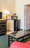 Туры в отель DASKK Orlando Hotel near Universal Blvd, an Ascend Collection Hotel