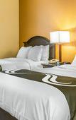 Туры в отель DASKK Orlando Hotel near Universal Blvd, an Ascend Collection Hotel