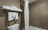 Туры в отель Best Western Plus Newport Mesa Inn