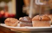 Туры в отель Best Western Plus Newport Mesa Inn