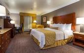 Туры в отель Best Western Plus Newport Mesa Inn
