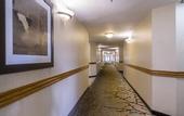 Туры в отель Best Western Plus Newport Mesa Inn