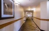 Туры в отель Best Western Plus Newport Mesa Inn