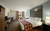 Туры в отель Super 8 by Wyndham Homestead/Florida City/Gateway to Keys