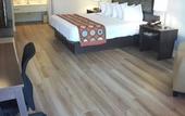 Туры в отель Super 8 by Wyndham Homestead/Florida City/Gateway to Keys
