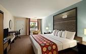 Туры в отель Super 8 by Wyndham Homestead/Florida City/Gateway to Keys