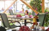 Туры в отель Novotel Palm Sharm El Sheikh