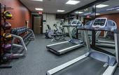 Туры в отель Hampton Inn Miami Dadeland