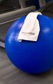 Туры в отель Sonesta ES Suites Chicago - Schaumburg