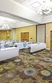 Туры в отель Holiday Inn & Suites Bolingbrook by IHG
