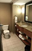Туры в отель Holiday Inn & Suites Bolingbrook by IHG