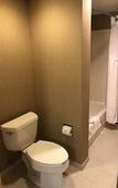 Туры в отель Holiday Inn & Suites Bolingbrook by IHG