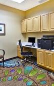 Туры в отель Holiday Inn & Suites Bolingbrook by IHG