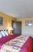 Туры в отель Spark by Hilton Palatine Arlington Heights