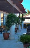 Туры в отель Grand Pacific Palisades