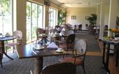 Туры в отель Ocean Dunes Resort Phan Thiet