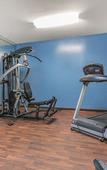 Туры в отель Comfort Inn Pomona near Fairplex