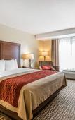 Туры в отель Comfort Inn Pomona near Fairplex