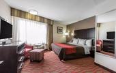 Туры в отель Comfort Inn Los Angeles near Hollywood