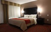 Туры в отель Comfort Inn Los Angeles near Hollywood