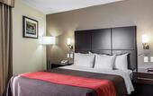 Туры в отель Comfort Inn Los Angeles near Hollywood