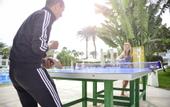 Туры в отель Novotel Beach Sharm El Sheikh
