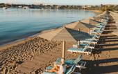 Туры в отель Novotel Beach Sharm El Sheikh