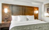 Туры в отель Hampton Inn Weston Ft. Lauderdale