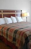 Туры в отель Travelodge by Wyndham Fairplex Pomona